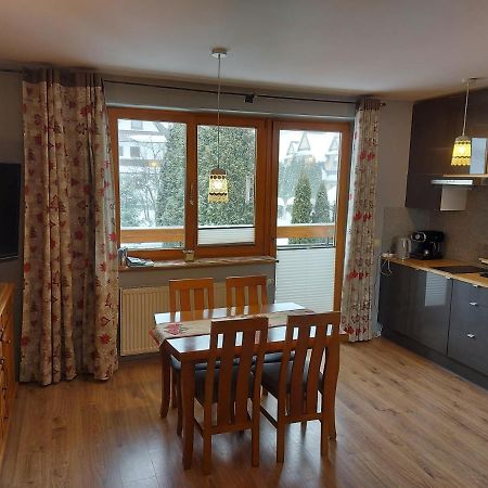 Apartament Zakopane Kamieniec 10I Kültér fotó